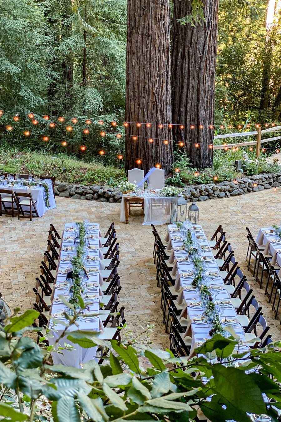 Ceremony beneath the redwoods